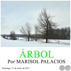 ÁRBOL - Por MARISOL PALACIOS